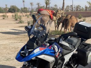 RawHyde-Offroad-SPAM-MOROCCO-4