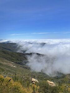 IMG_7007