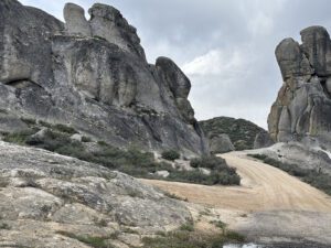 IMG_0552