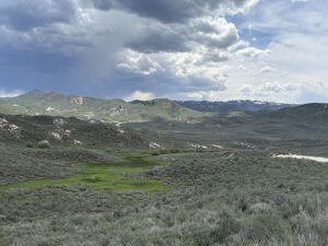 IMG_0553