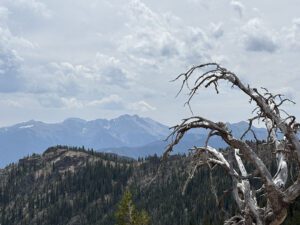 IMG_0957