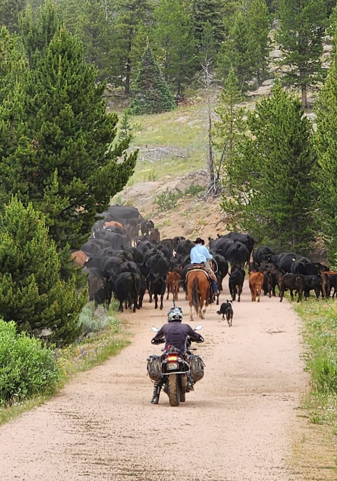 ADV Motorcycling Colorado